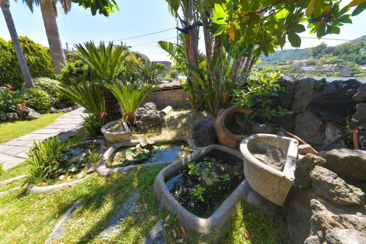 Villa Stefania Barano d'Ischia Exterior photo